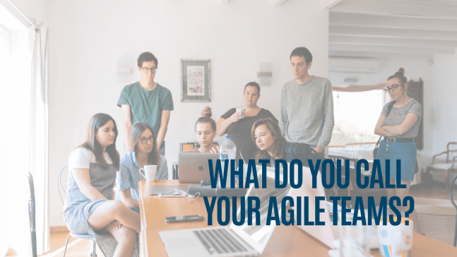 What Do You Call Your Agile&nbsp;Teams?